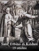 Sant' Etbino di Kildare